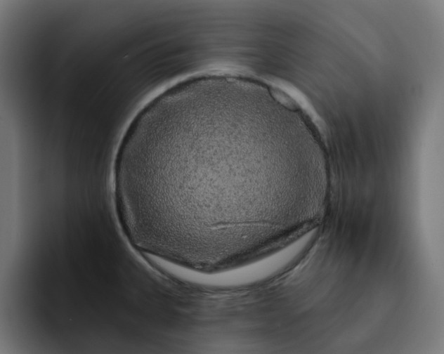 X0000093141335200710101110