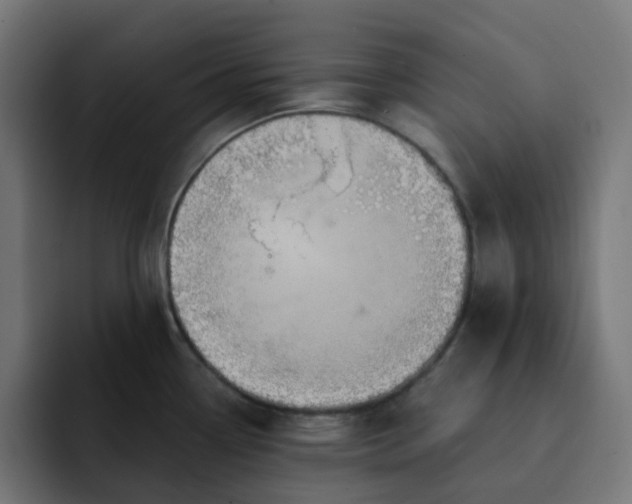 X0000093141338200710101110