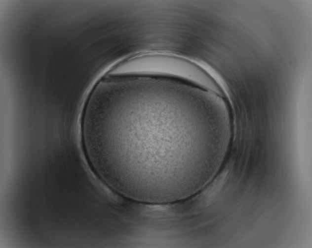 X0000093141341200710101110