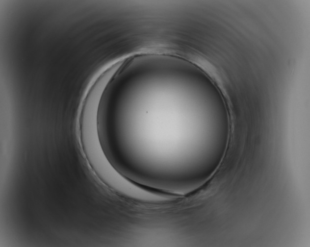 X0000093141344200710101110