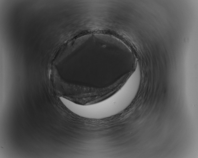 X0000093141348200710101110