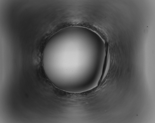 X0000093141349200710101110