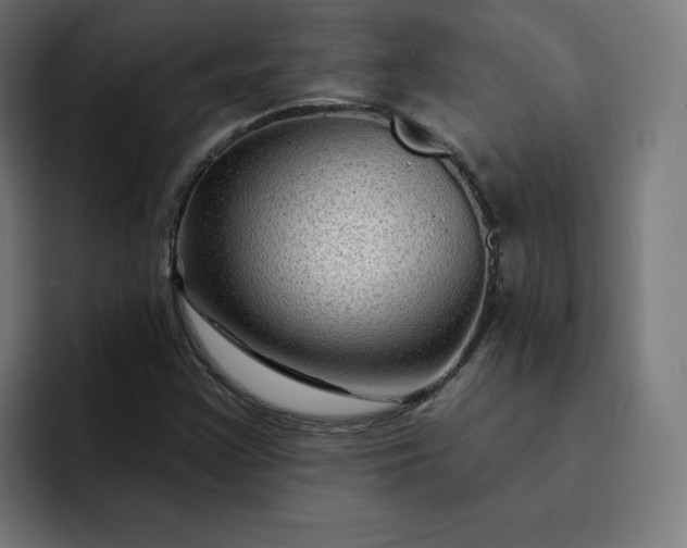 X0000093141355200710101110