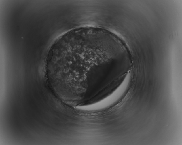 X0000093141359200710101110