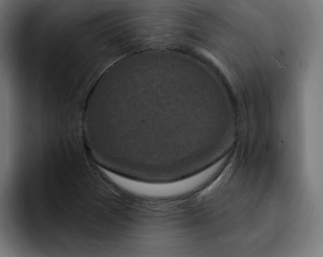 X0000093141361200710101110