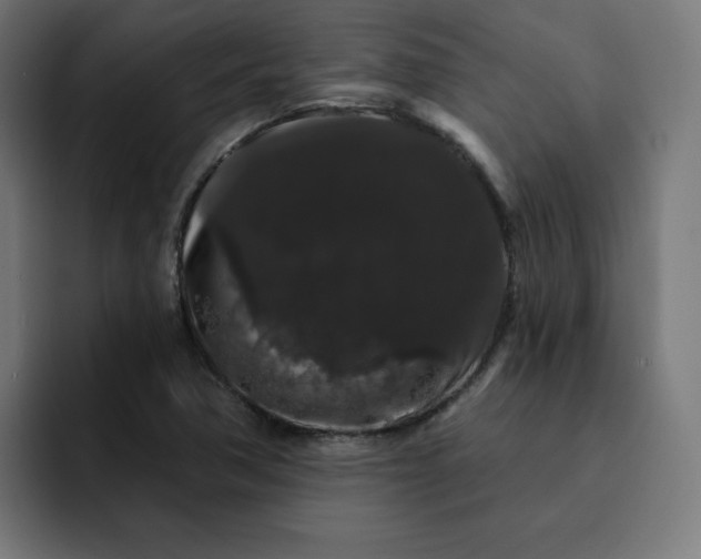 X0000093141362200710101110