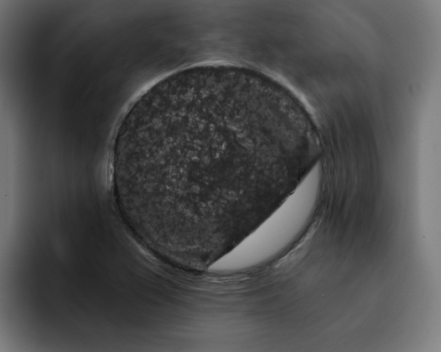 X0000093141367200710101109