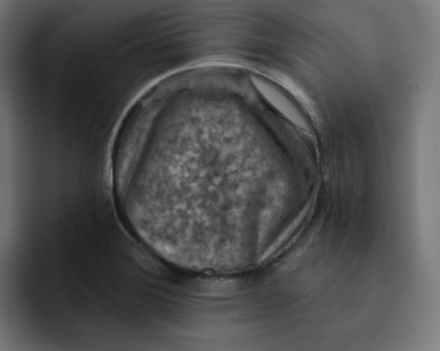 X0000093141372200710101109