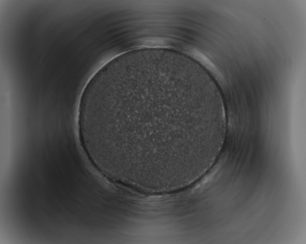 X0000093141378200710101109