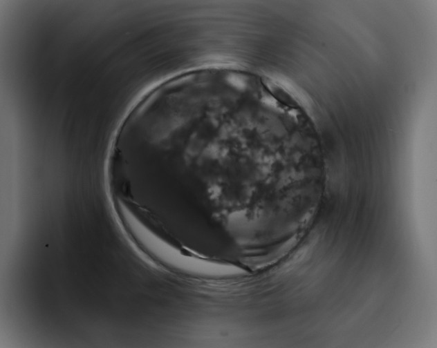 X0000093141383200710101109