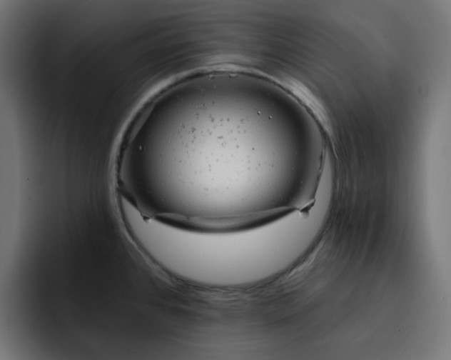 X0000093141384200710101109