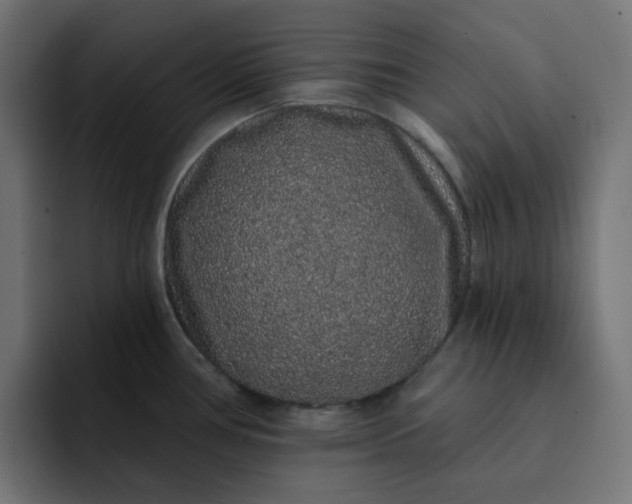 X0000093141386200710101109