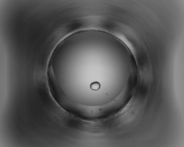 X0000093141388200710101109