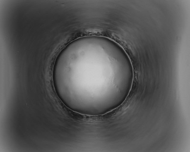 X0000093141393200710101108