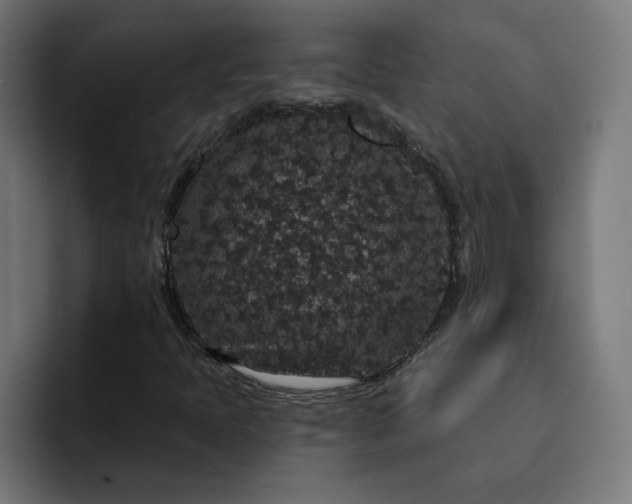 X0000093141397200710101108