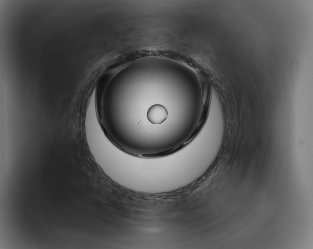 X0000093141398200710101109