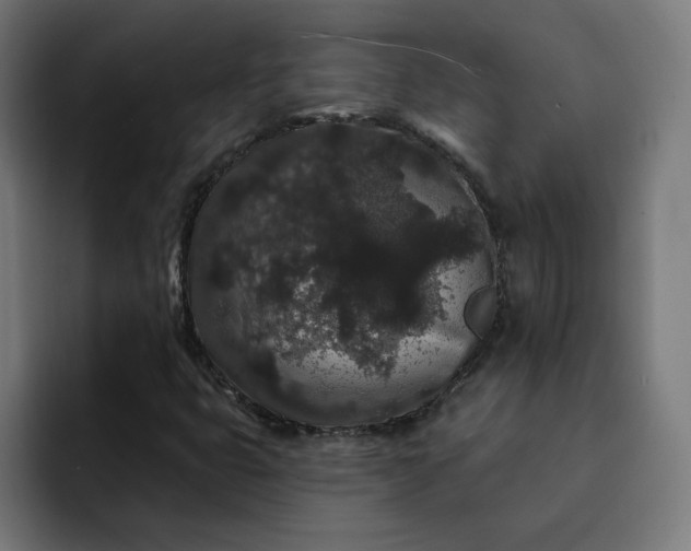 X0000093141399200710101109