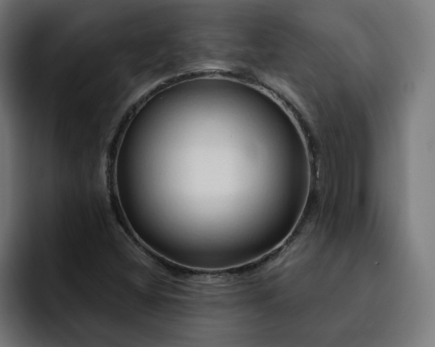 X0000093141404200710101109