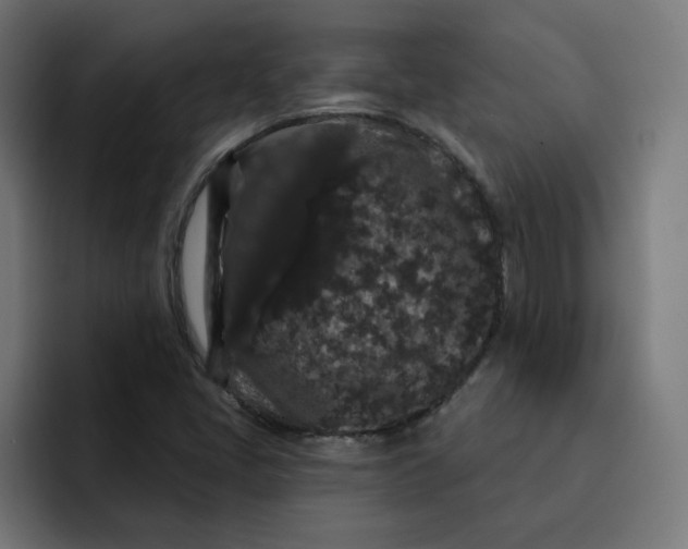 X0000093141405200710101109