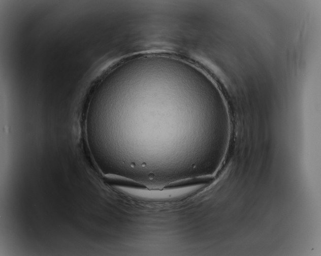 X0000093141407200710101109