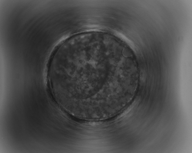 X0000093141411200710101109