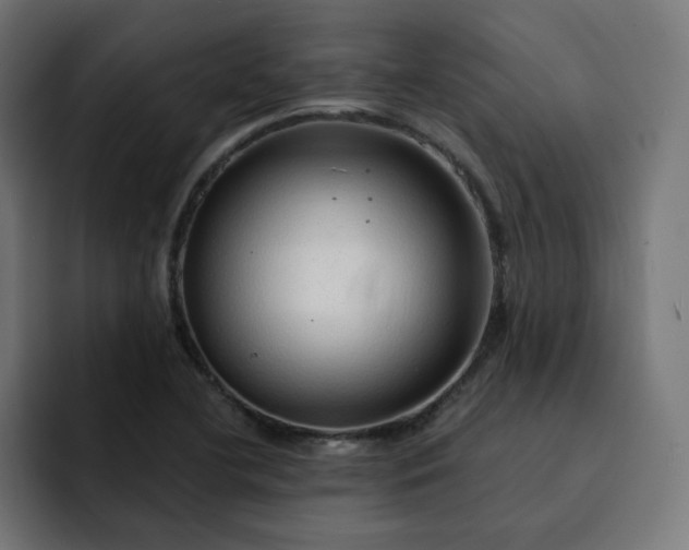 X0000093141412200710101109