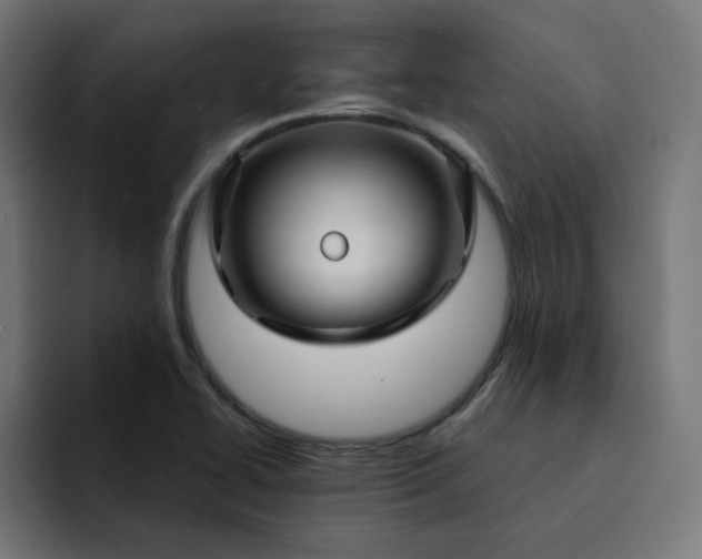 X0000093141414200710101109