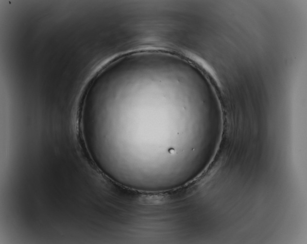 X0000093141415200710101109