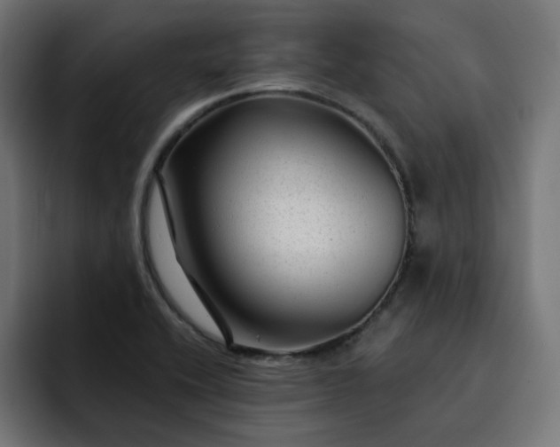 X0000093141416200710101109