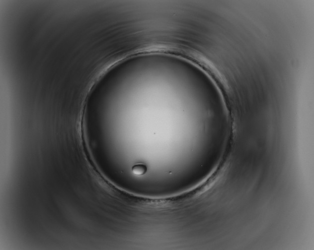 X0000093141417200710101109