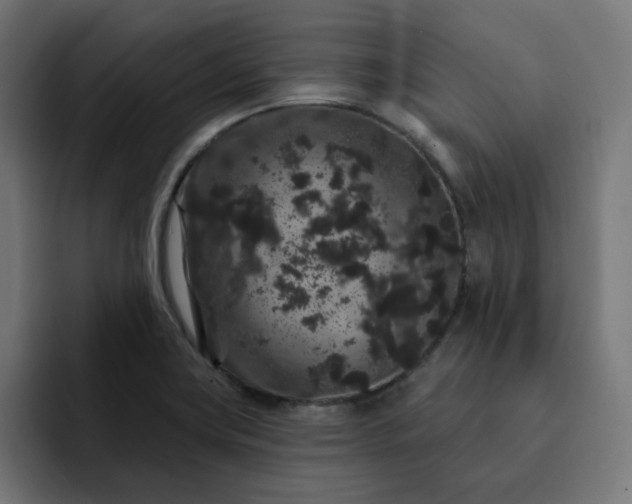 X0000093141419200710101109