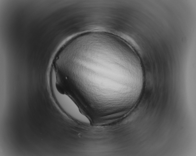 X0000093141424200710101109