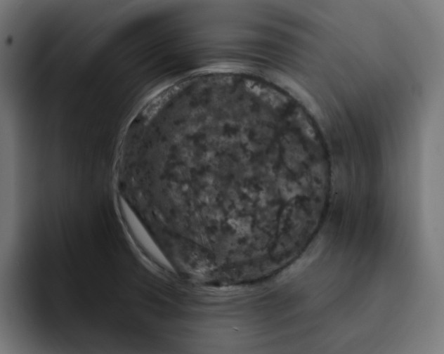 X0000093141425200710101109