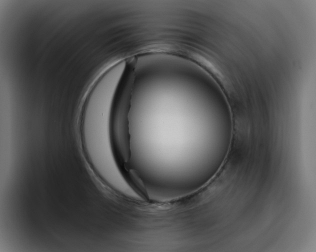 X0000093141426200710101109