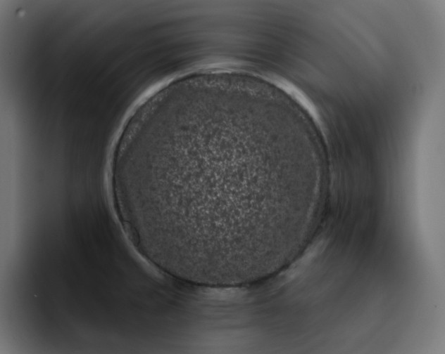 X0000093141429200710101109