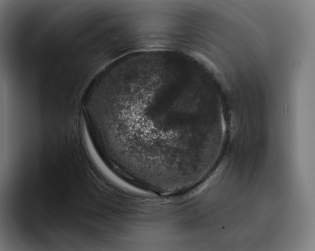 X0000093141449200710101108