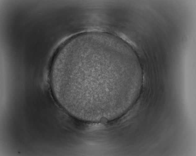 X0000093141454200710101108