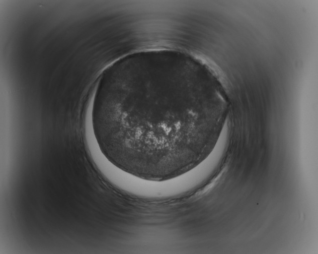 X0000093141457200710101108