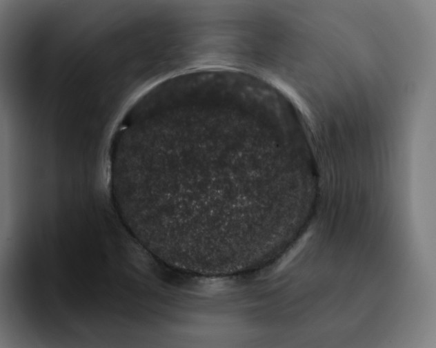 X0000093141461200710101108