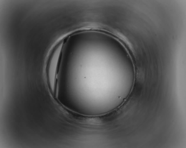 X0000093141464200710101108