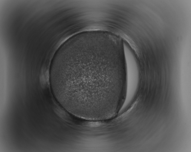 X0000093141465200710101108