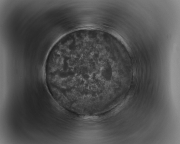 X0000093141466200710101108