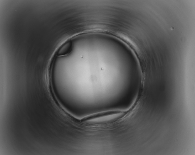 X0000093141467200710101108