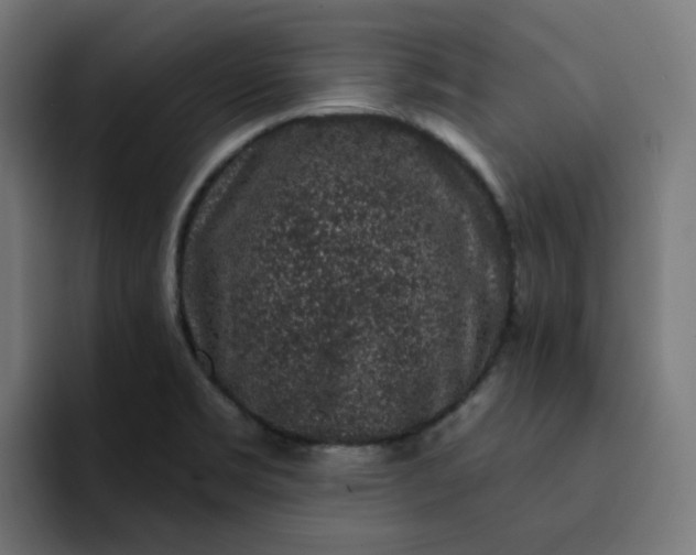 X0000093141469200710101108