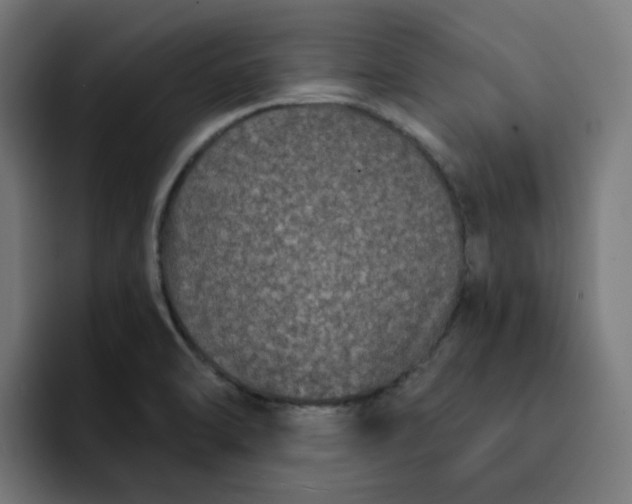 X0000093141470200710101108