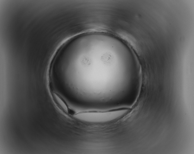 X0000093141471200710101108