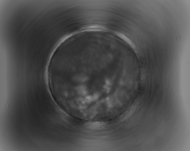 X0000093141474200710101108