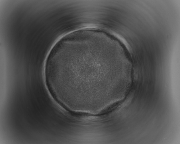 X0000093141475200710101108