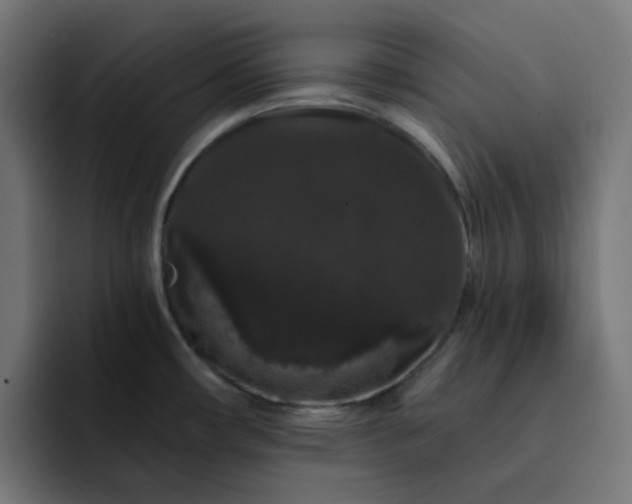 X0000093141482200710101108