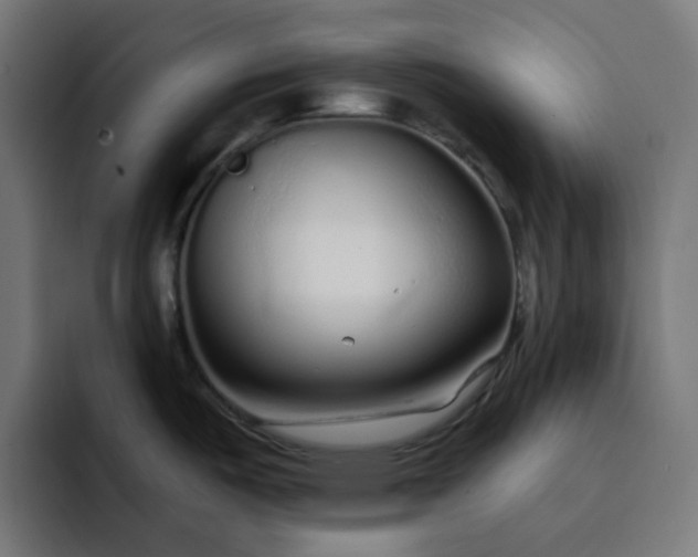 X0000093141487200710101108